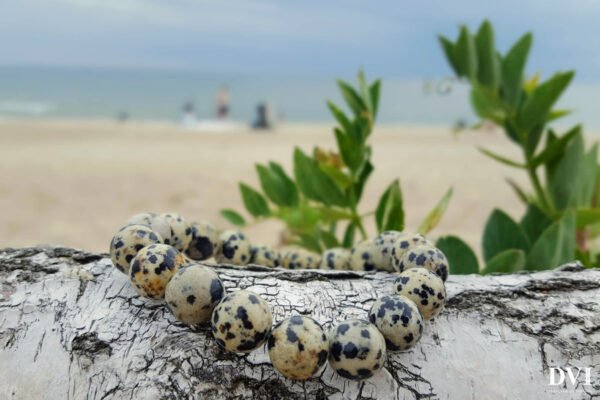 naturaliu akmenuku apyrankes